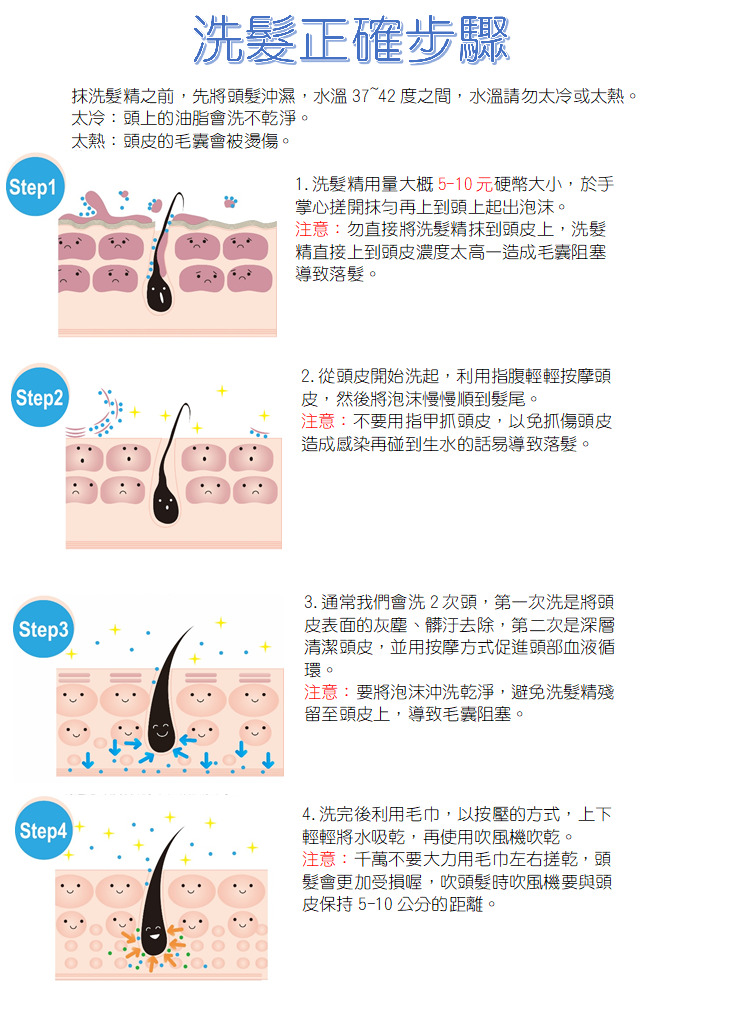 洗頭步驟